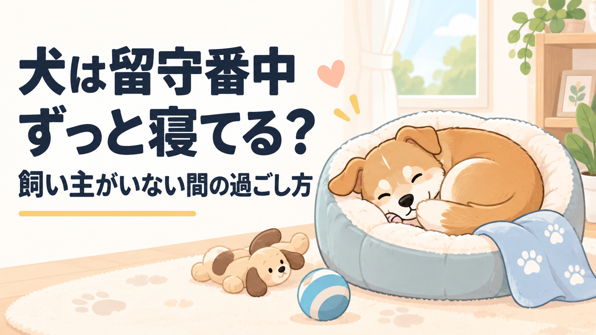 犬は留守番中ずっと寝てる？飼い主がいない間の過ごし方