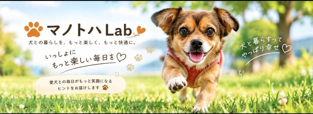 マノトハLabのトップページで笑顔で走る愛犬
